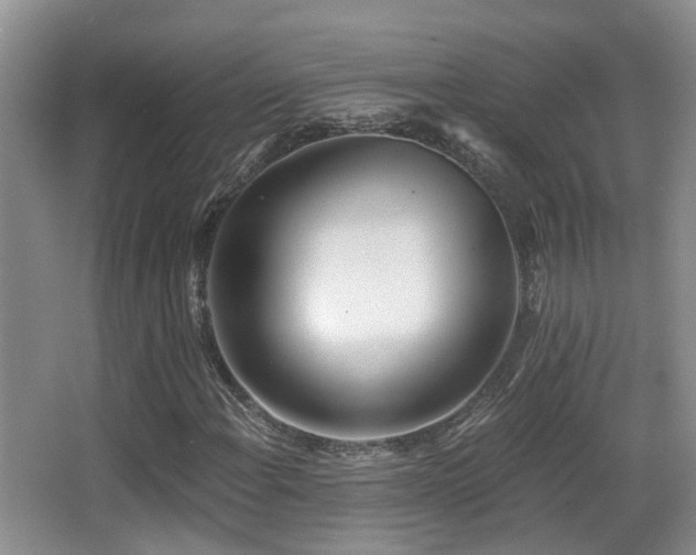 X0000066991108200603241309