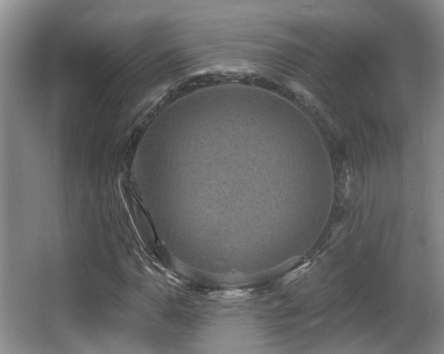 X0000066991110200603241309