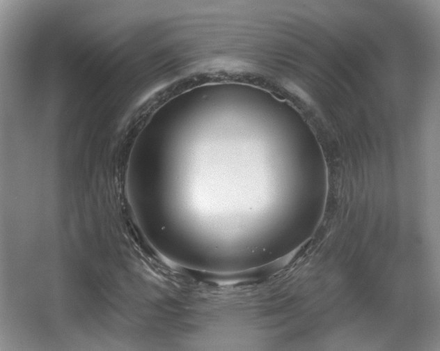 X0000066991112200603241309