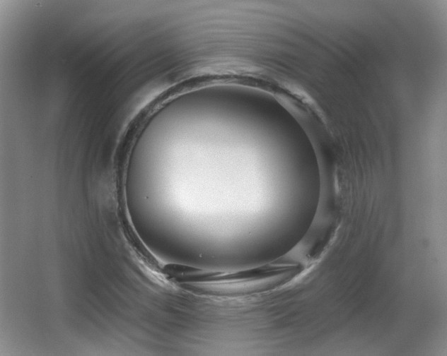 X0000066991114200603241309