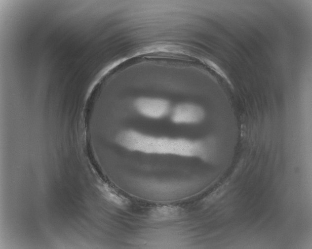 X0000066991117200603241309