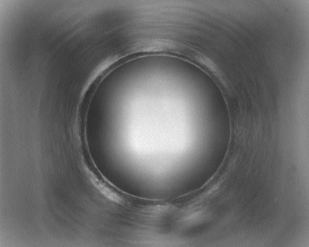 X0000066991122200603241309