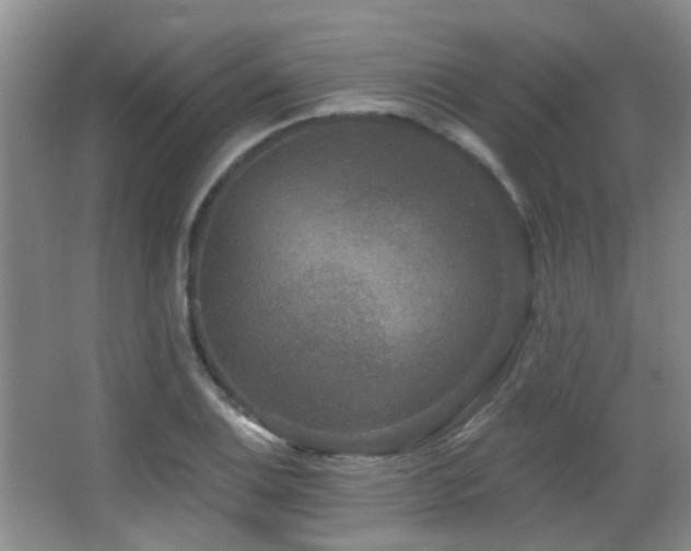 X0000066991124200603241309