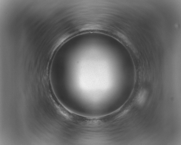 X0000066991129200603241309