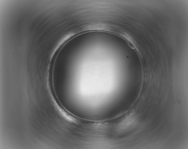 X0000066991139200603241309