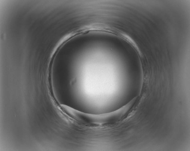 X0000066991146200603241309