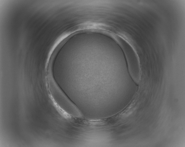 X0000066991152200603241309