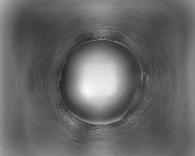 X0000066991153200603241309
