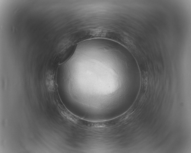 X0000066991154200603241309