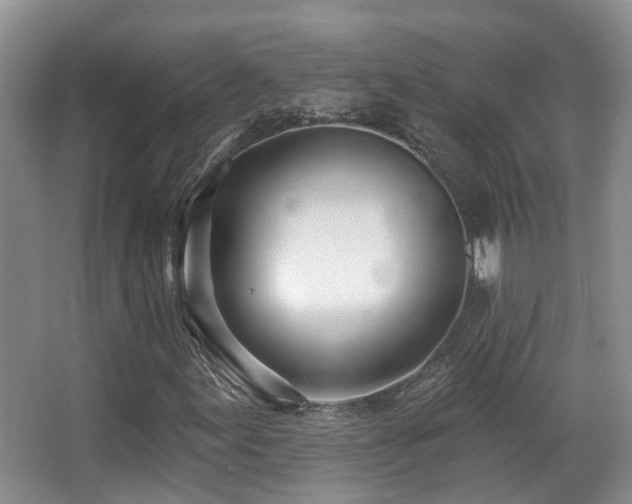 X0000066991155200603241309