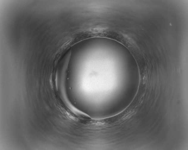 X0000066991156200603241309
