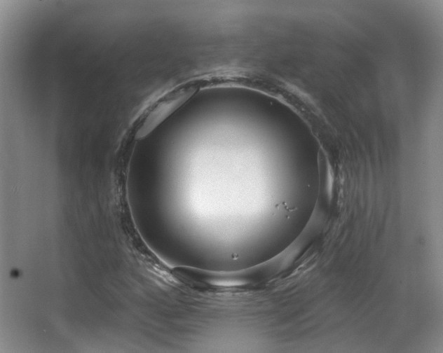 X0000066991160200603241308