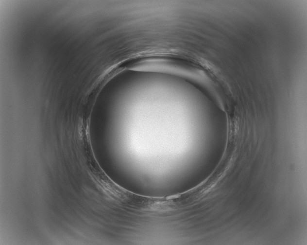 X0000066991161200603241308