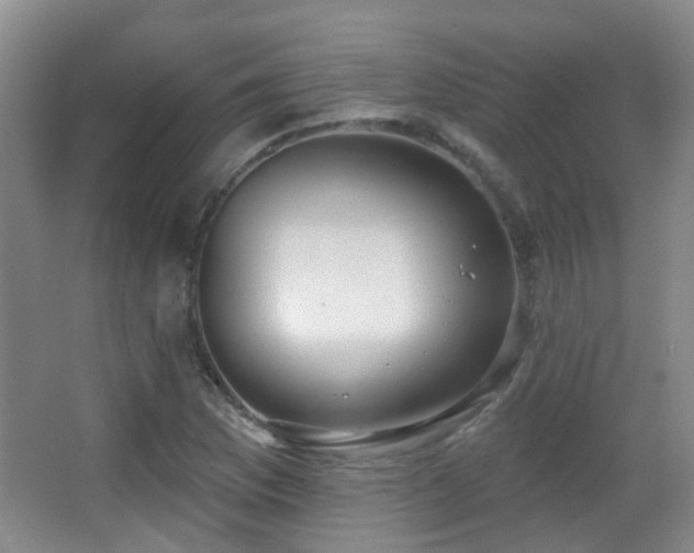 X0000066991169200603241308