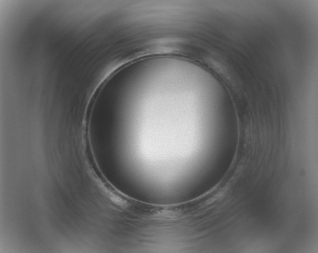 X0000066991178200603241308