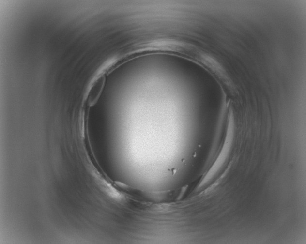 X0000066991180200603241308