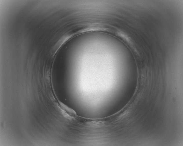 X0000066991185200603241308