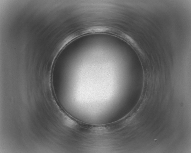 X0000066991186200603241308