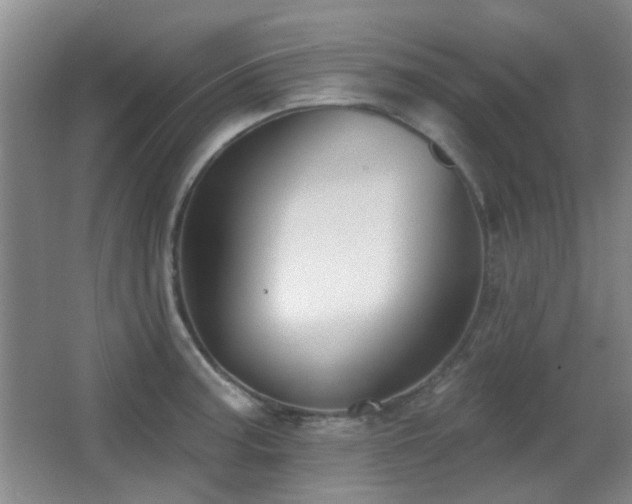 X0000066991187200603241308