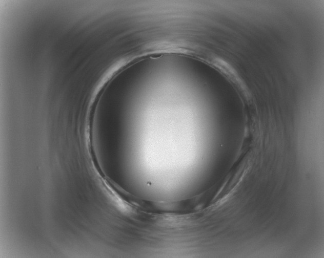 X0000066991188200603241308