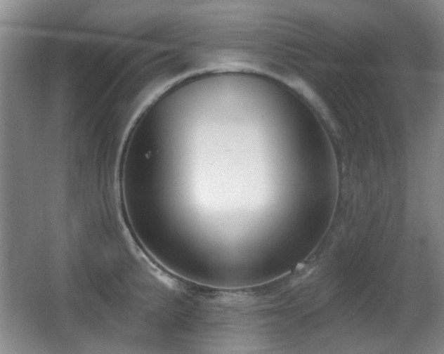 X0000066991191200603241308