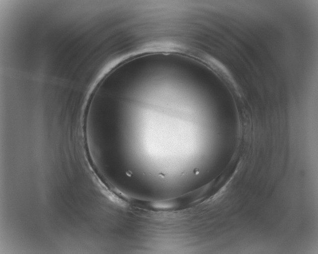 X0000066991192200603241308