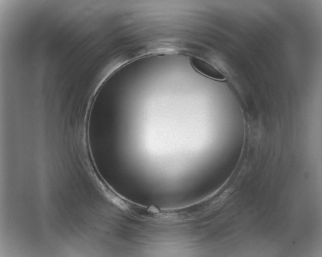 X0000066991194200603241308