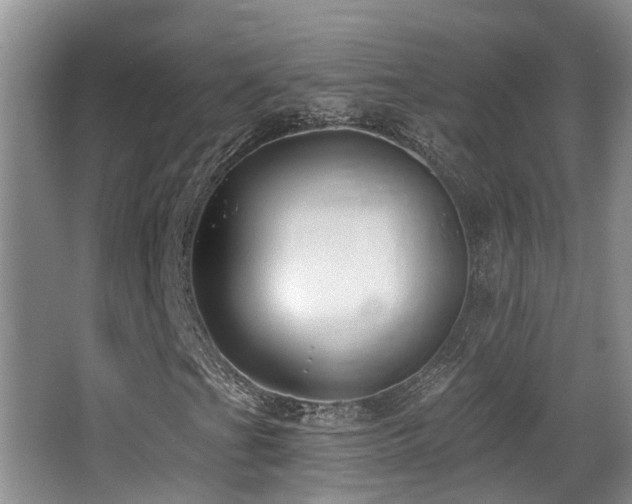X0000066991201200603241307