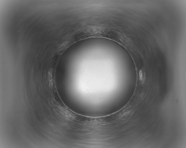 X0000066991203200603241307
