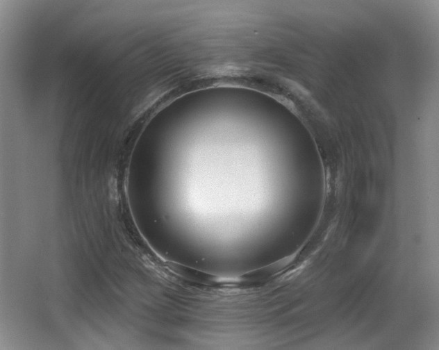 X0000066991209200603241307