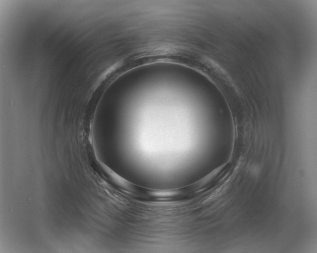 X0000066991210200603241307