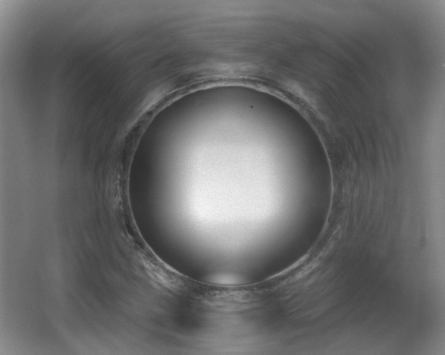 X0000066991211200603241307