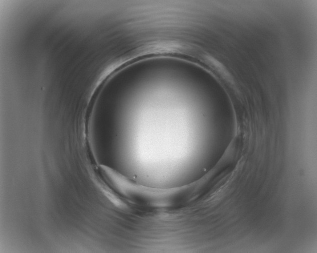 X0000066991226200603241307