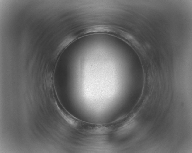 X0000066991233200603241308