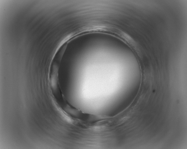 X0000066991234200603241308