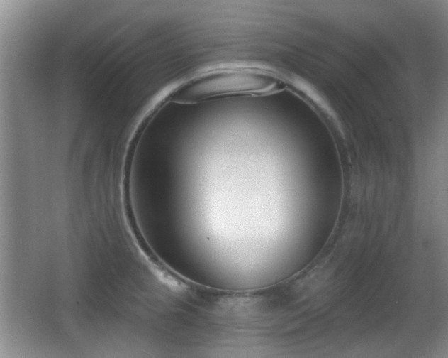 X0000066991237200603241308