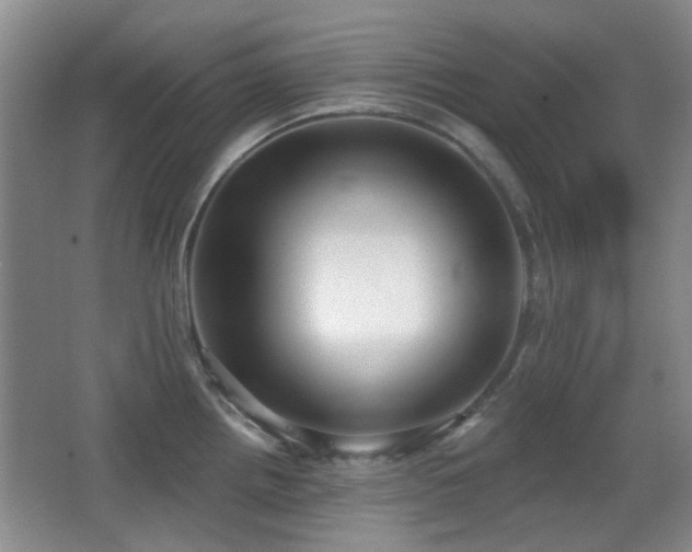 X0000066991242200603241308