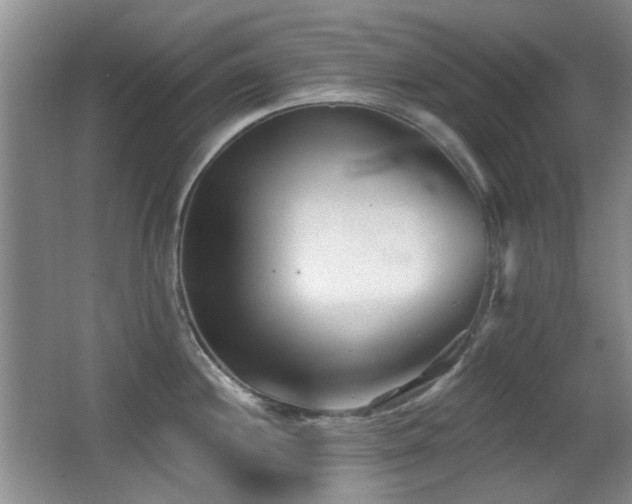 X0000066991244200603241308