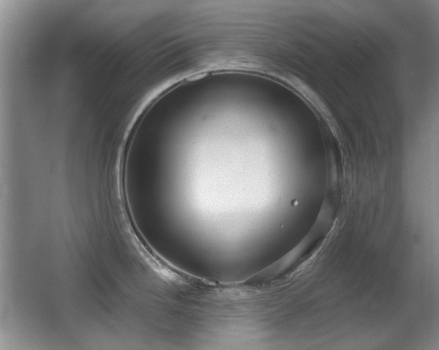 X0000066991246200603241308