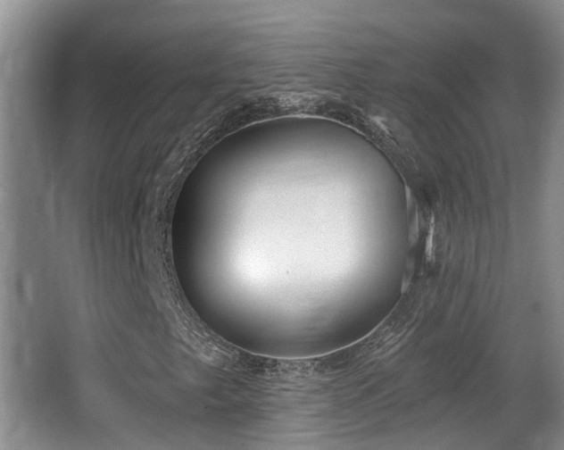 X0000066991249200603241307