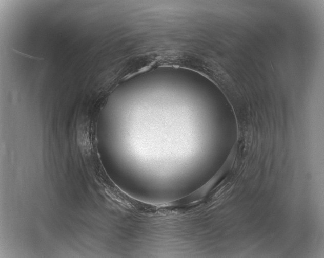 X0000066991250200603241307
