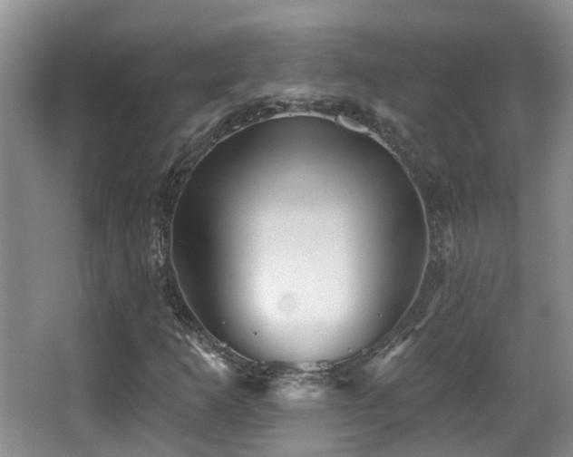 X0000066991253200603241307