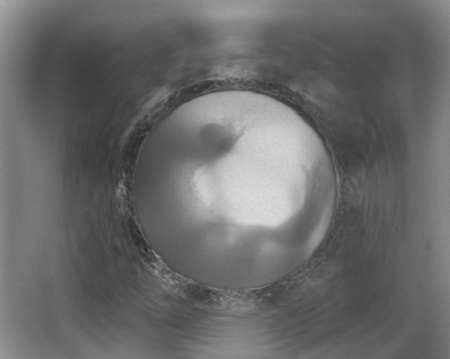 X0000066991254200603241307