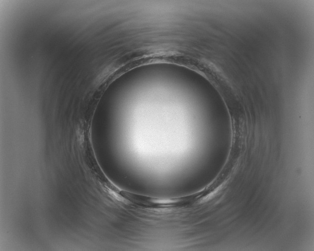 X0000066991257200603241307