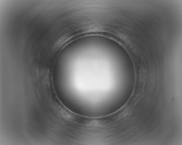X0000066991265200603241307