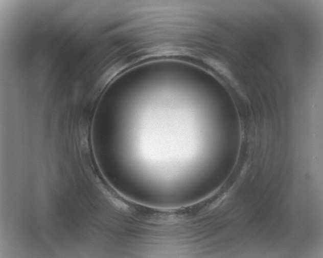 X0000066991273200603241307