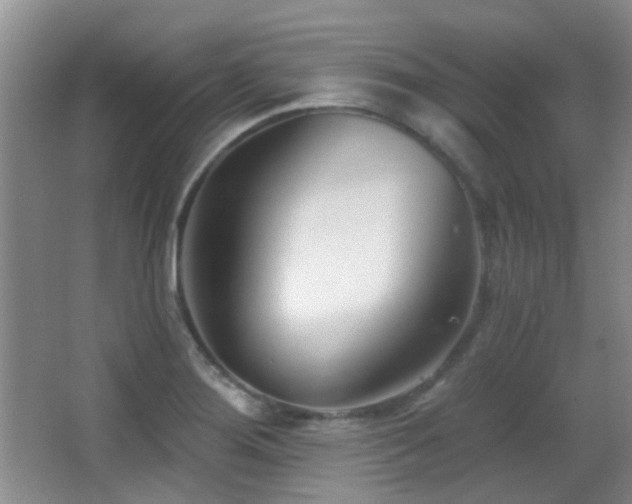 X0000066991276200603241307