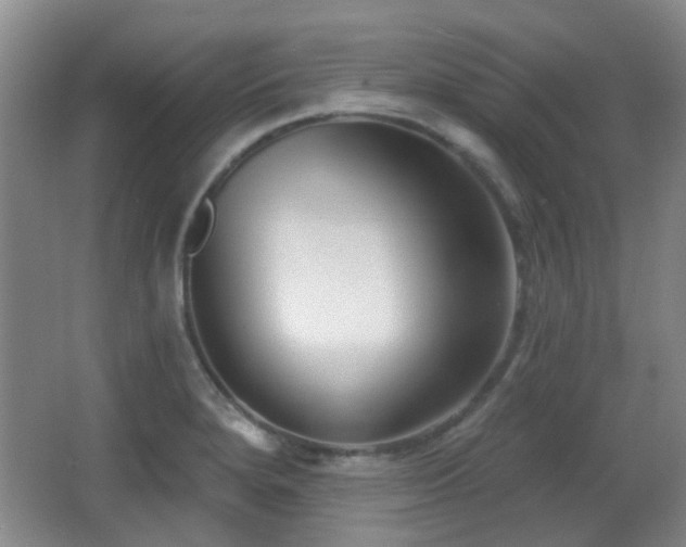 X0000066991280200603241306