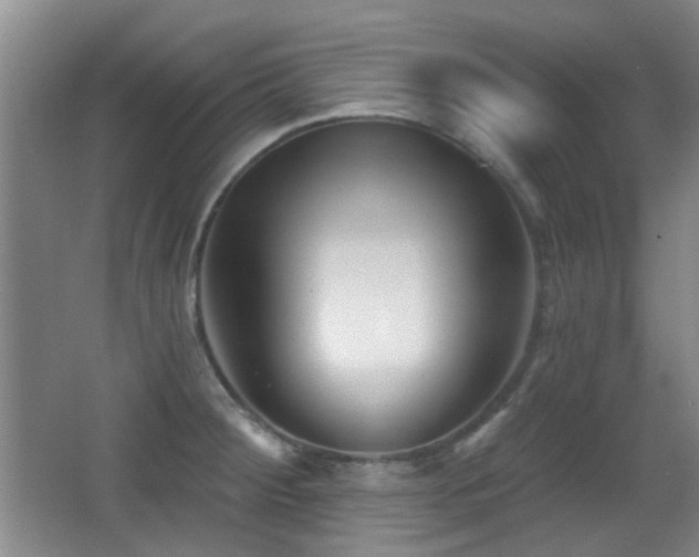 X0000066991284200603241306