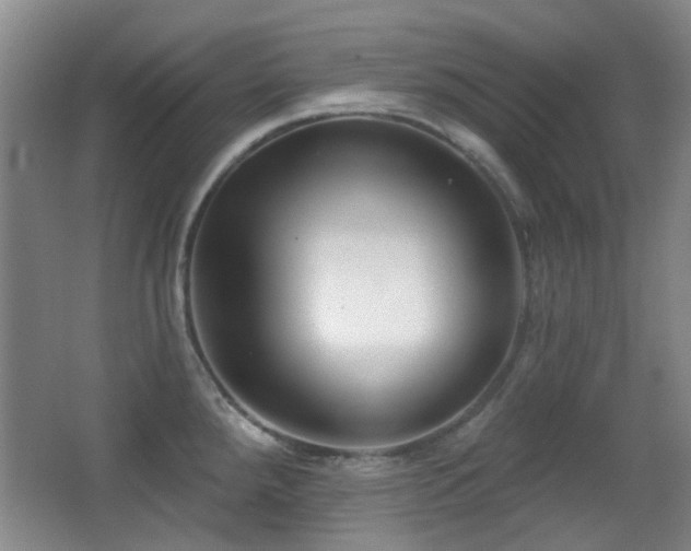 X0000066991288200603241306